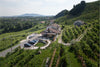 Tonnino - Selected in the vineyard