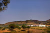 Az.Vitivinicola Tola - Premium tasting
