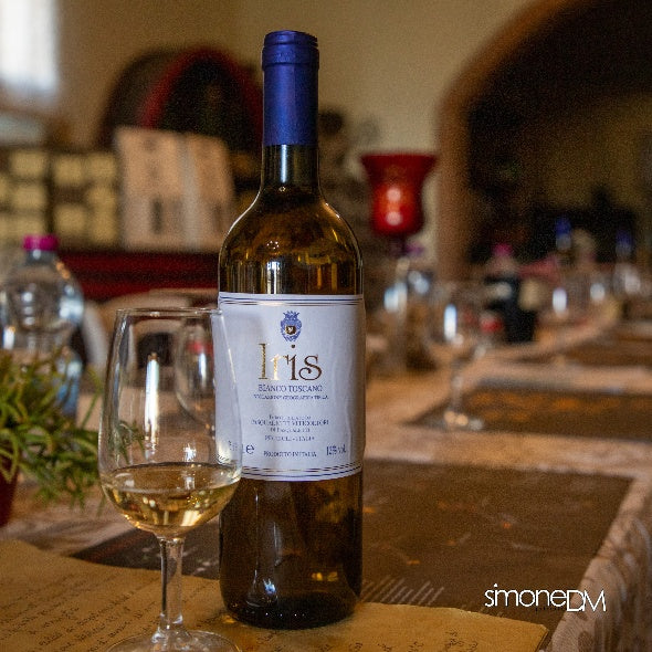 Pasqualetti Viticoltori - Degustazione 5 vini Toscana Pasqualetti Viticoltori