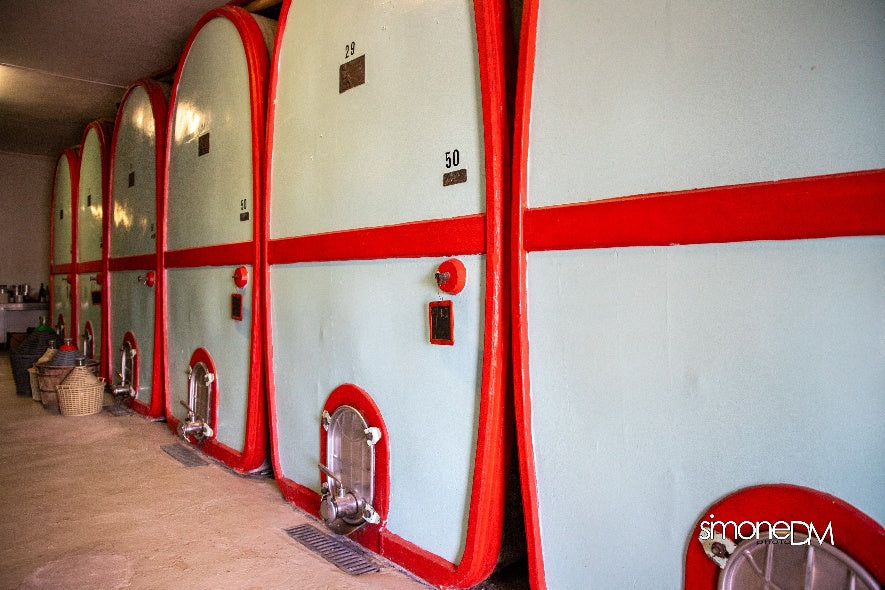 Pasqualetti Viticoltori - Degustazione 5 vini Toscana Pasqualetti Viticoltori