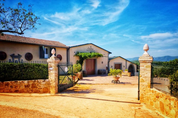 Tenuta di Saragano - Wine Tasting Umbria Tenuta di Saragano