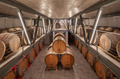 Antonelli San Marco - Tasting of 3 wines