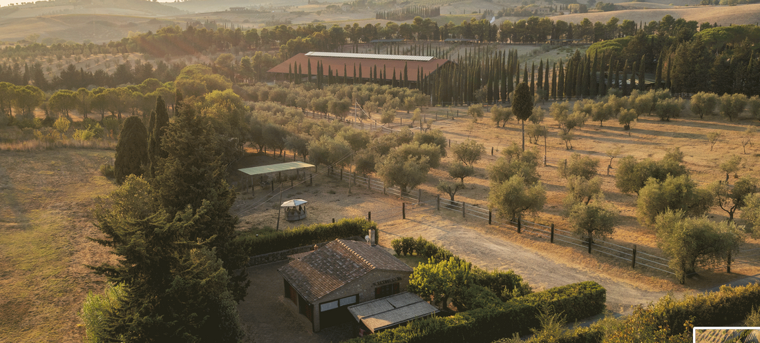 Az.agr Toscani - Degustazione e Light Lunch Toscana Az.agr Toscani