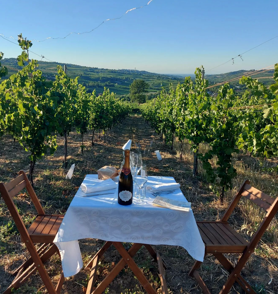 Calatroni wines - Degustazione 4 vini Lombardia Calatroni wines