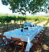 Calatroni wines - Tasting of 4 wines