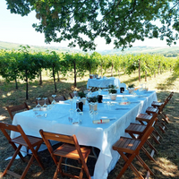 Calatroni wines - Degustazione 4 vini Lombardia Calatroni wines