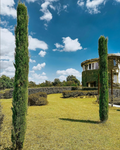 Pietro Cassina - Vertical Tasting Lessona