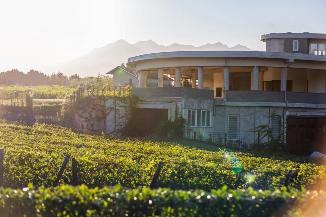 Pietro Cassina - Degustazione Verticale Vespolina Piemonte Pietro Cassina