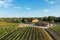 Fattoria Svetoni - Wine tasting 