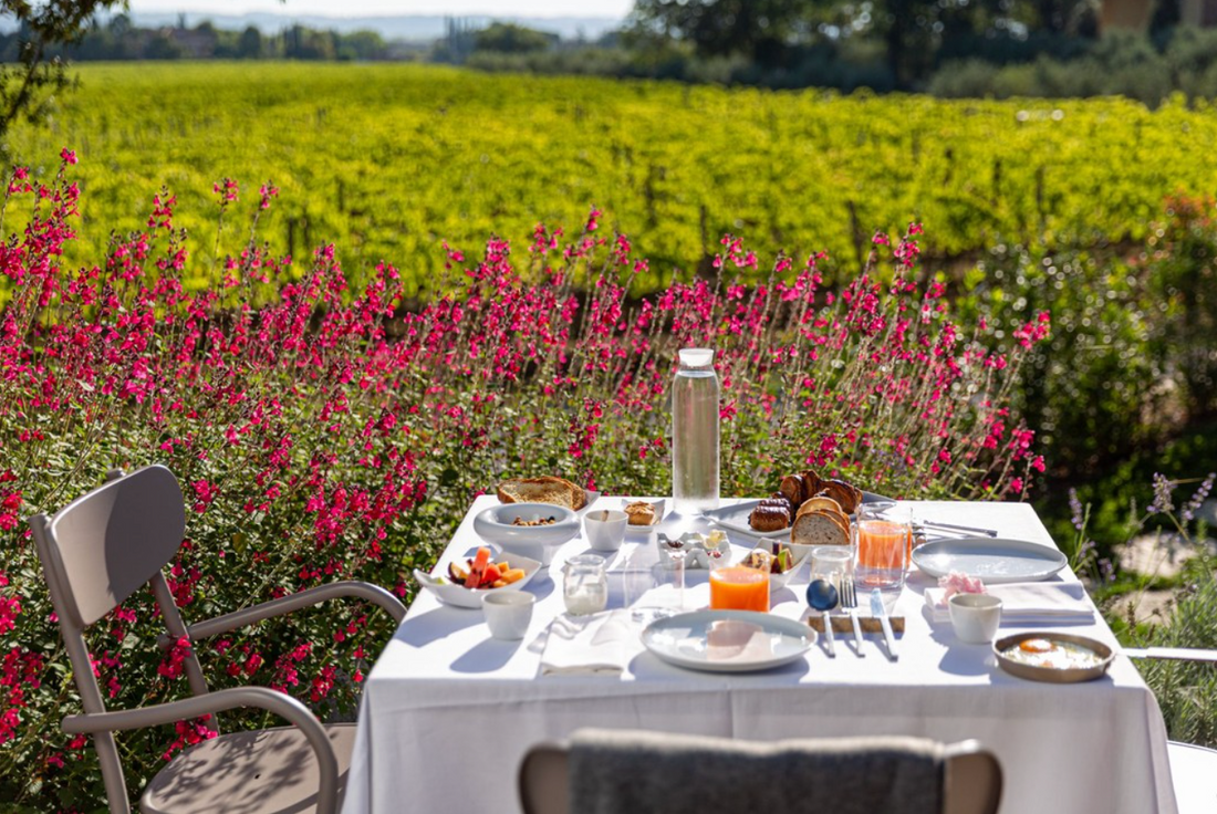 Fattoria Svetoni - Passeggiata nei Vigneti e PIC NIC Toscana Fattoria Svetoni