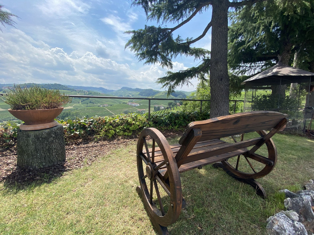Fratelli Borgogno - Viaggio nelle Denominazioni Piemonte Fratelli Borgogno
