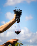 Tenuta San Marcello - “Free visit with the winemaker”