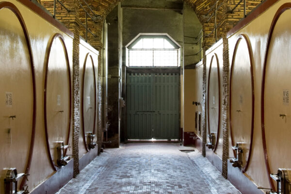 Castello di Torre in Pietra - Degustazione e Tagliere Lazio Castello di Torre in Pietra