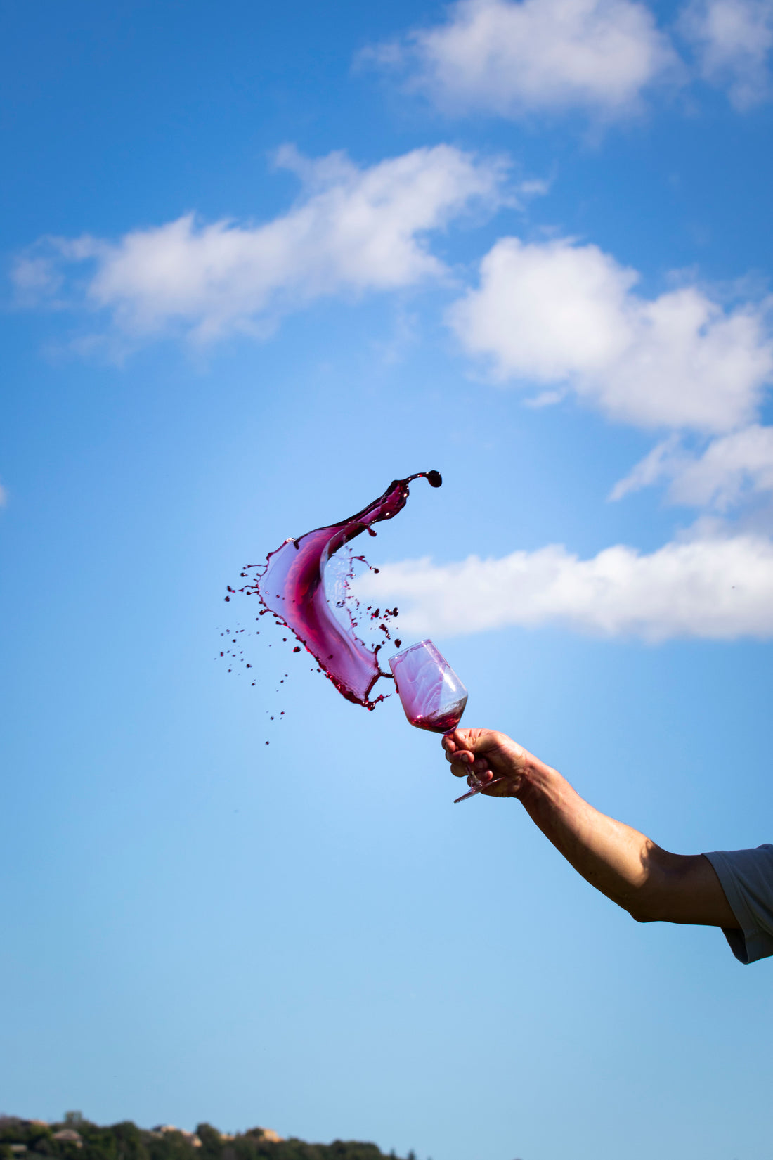 Tenuta San Marcello - Esperienza Pace dei Sensi Marche Tenuta San Marcello