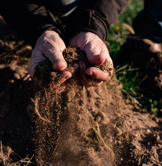 Valentina Cubi - Il saluto di Valentina Veneto Az.agr Valentina Cubi