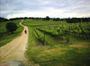 Arnaldo Caprai - SAGRANTINO LOVERS