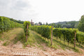 Poderi Moretti - Discover Roero
