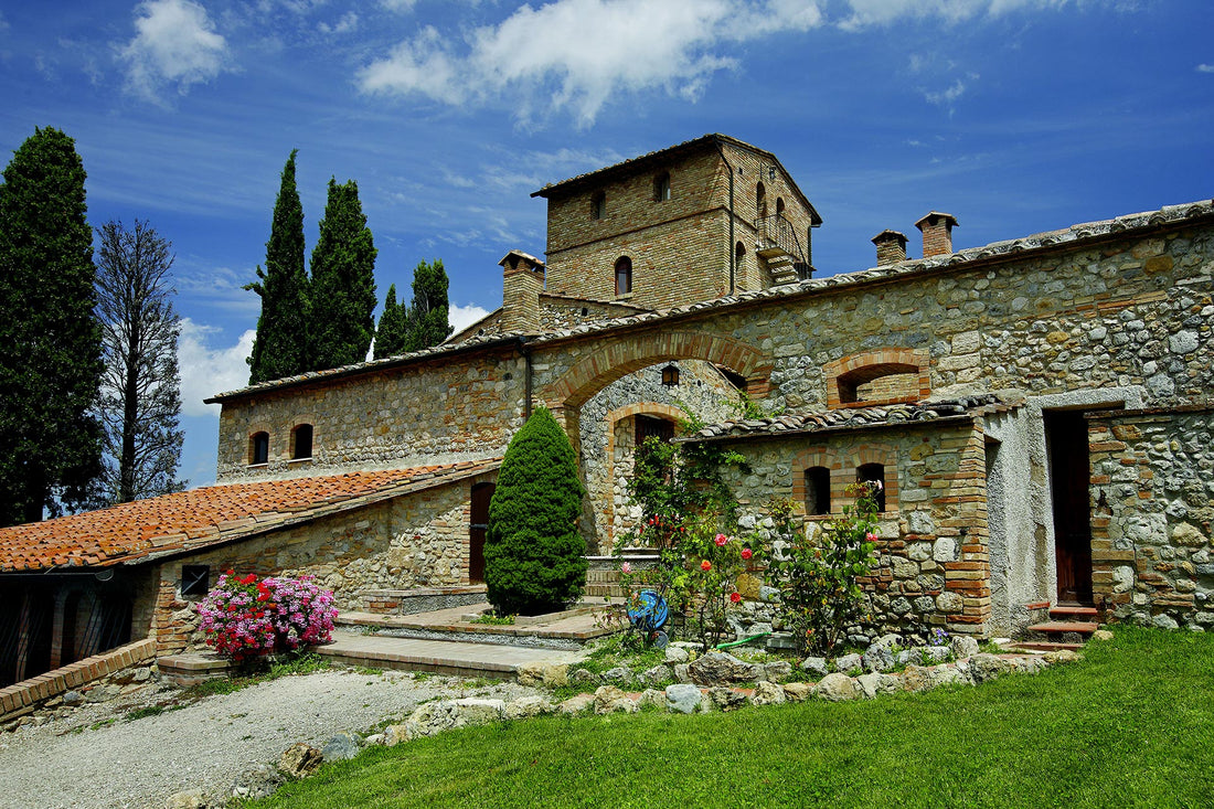Il Palagetto - Light Lunch “Ad Hoc San Gimignano” Toscana Az.agr Palagetto