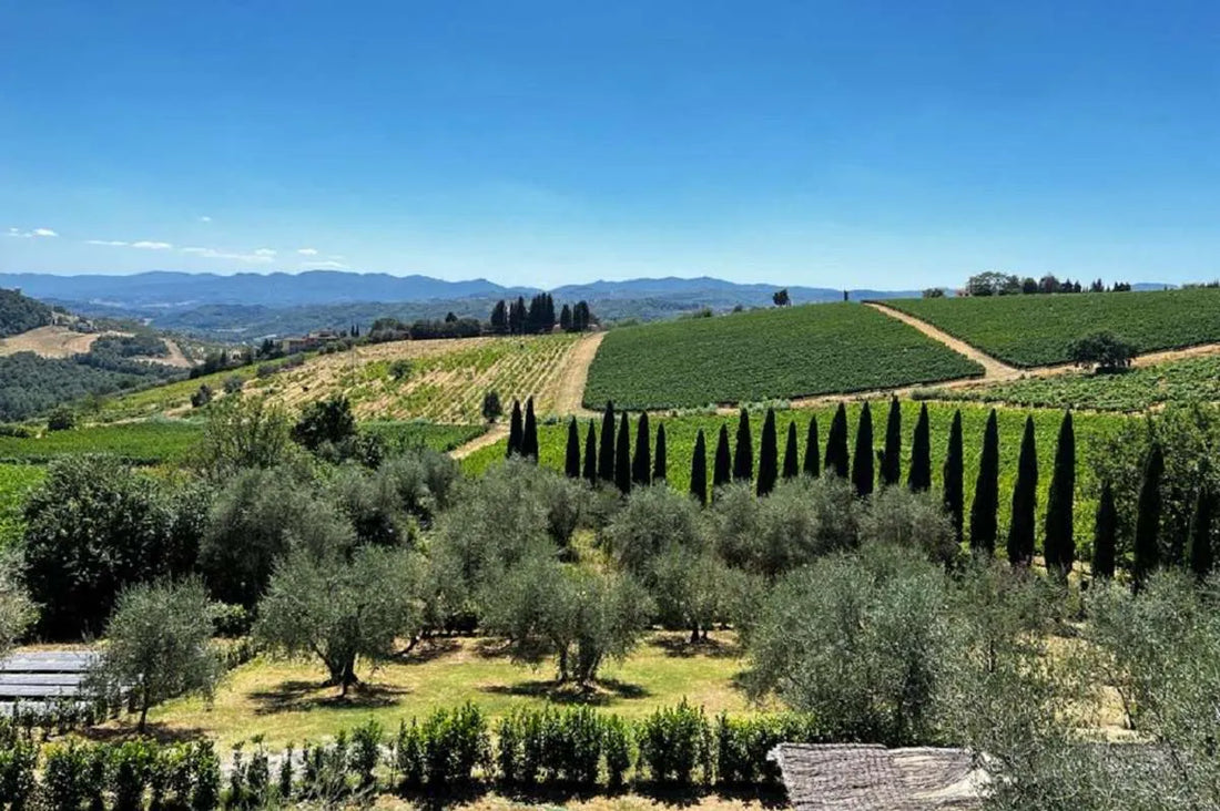 Travignoli - Tasting with view Toscana Travignoli