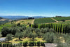 Travignoli - Chianti Rufina Experience