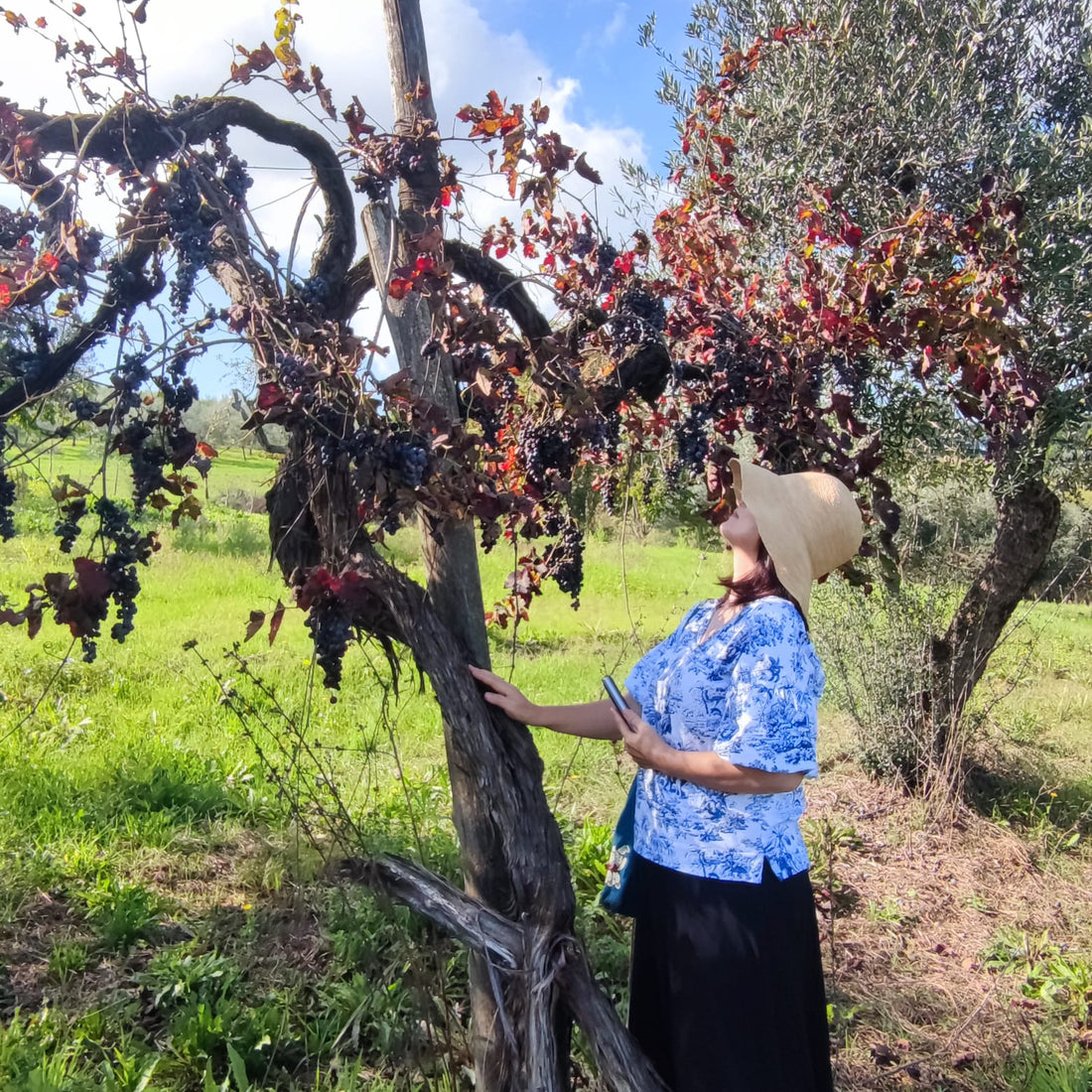 PETRILLO - ESPLORANDO IL BORGO DI MONTEFUSCO Campania Petrillo