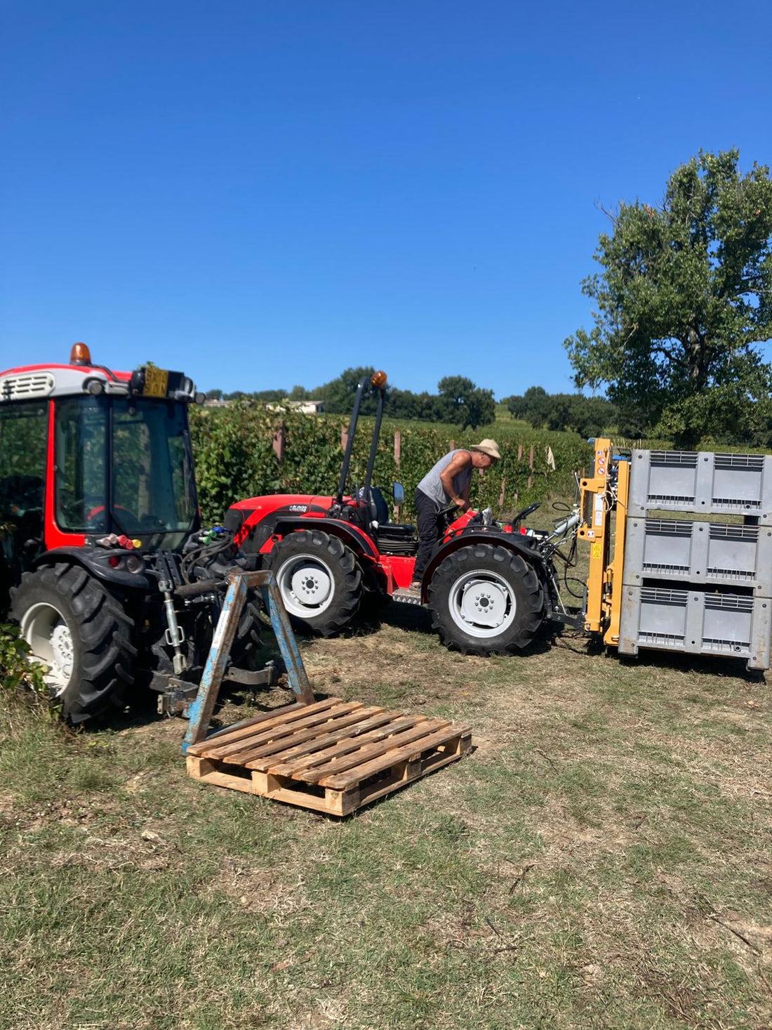 Cantina Napolini - Degustazione Classica Umbria Cantina Napolini