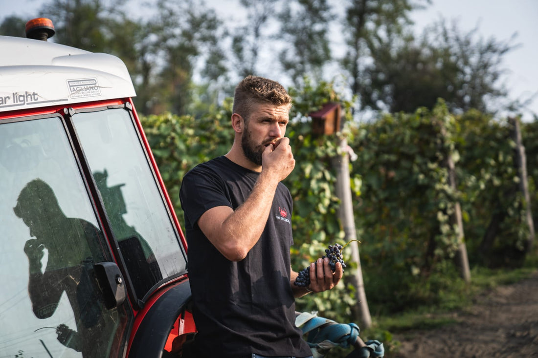 Cantina Dellerba - Degustazione 3 Vini e visita guidata Piemonte Cantina Dellerba