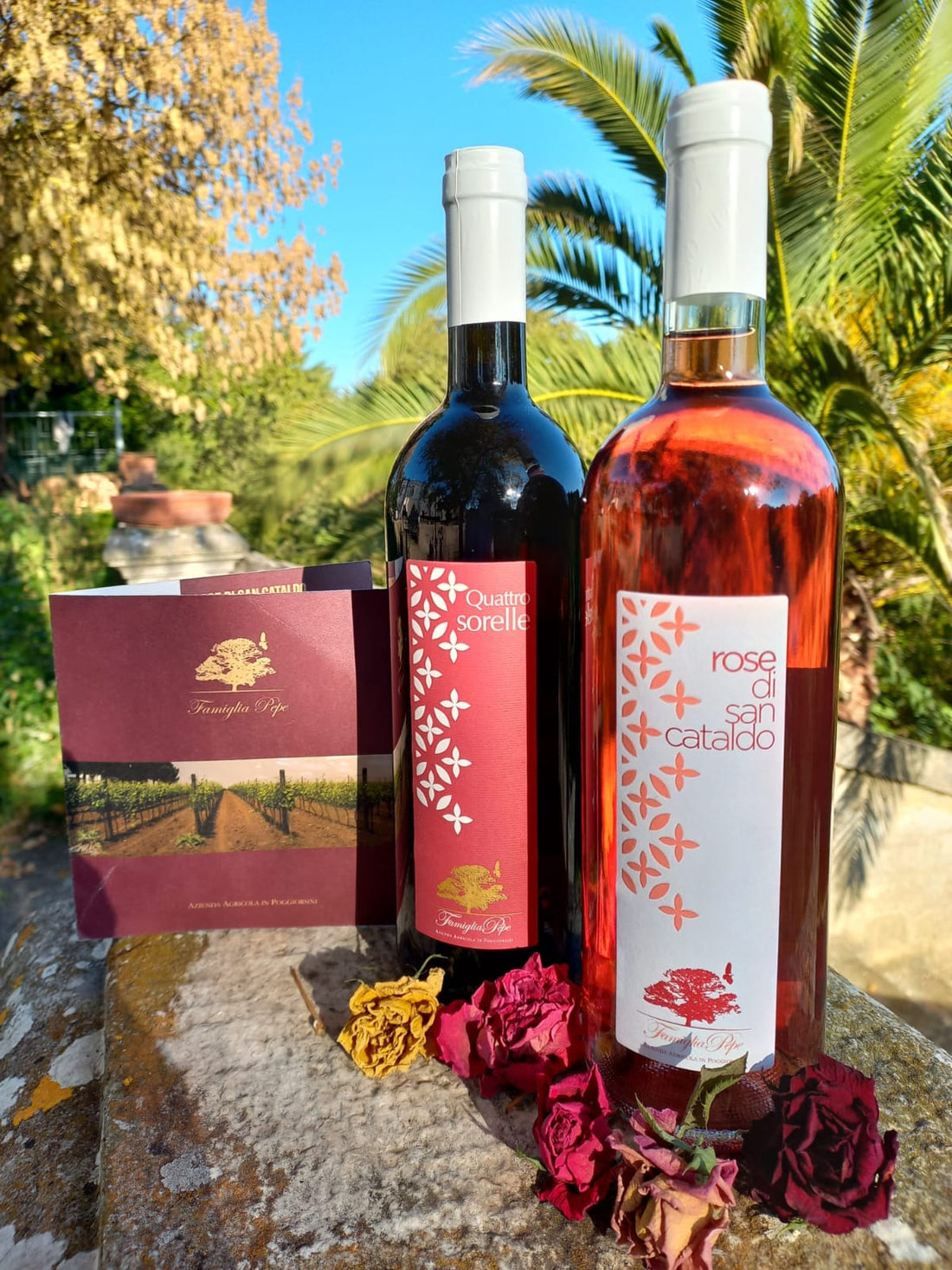 Masseria San Cataldo - Degustazione Puglia Masseria San Cataldo