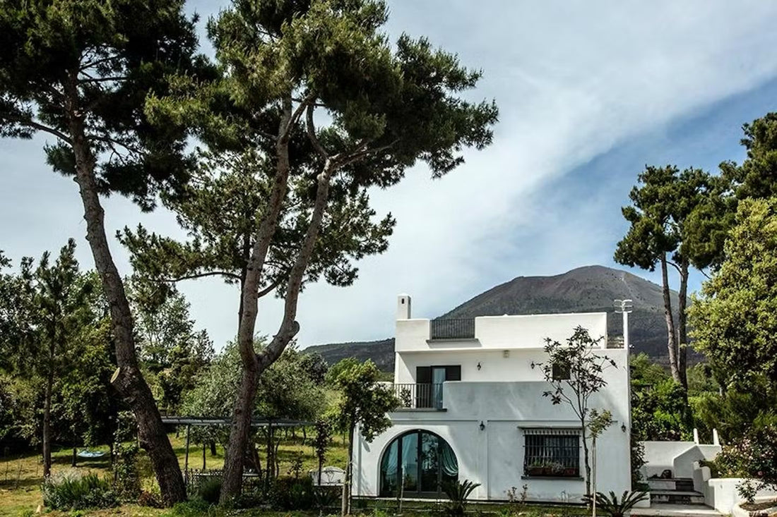 Cantina del Vesuvio - Degustazione 5 vini con Pranzo Campania Cantina del Vesuvio