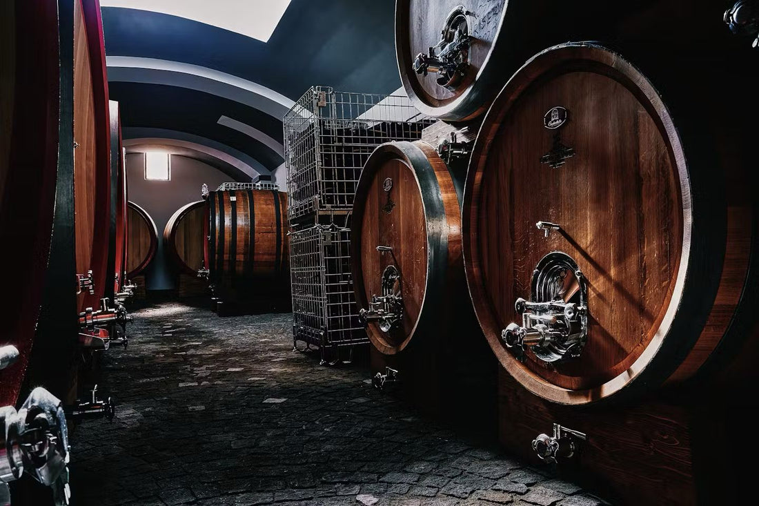 Cantina del Vesuvio - Degustazione 5 vini con Pranzo Campania Cantina del Vesuvio