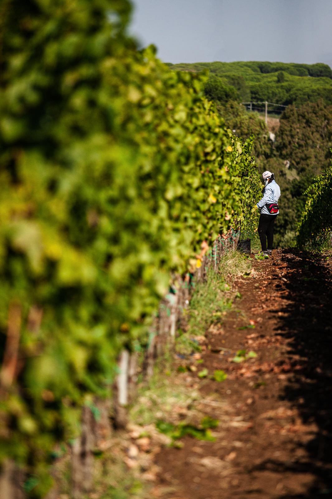 Gaffino - Percorso classico Lazio Gaffino