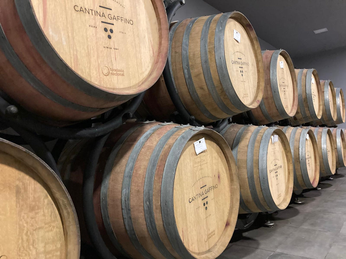 Gaffino - Percorso selezione Lazio Gaffino