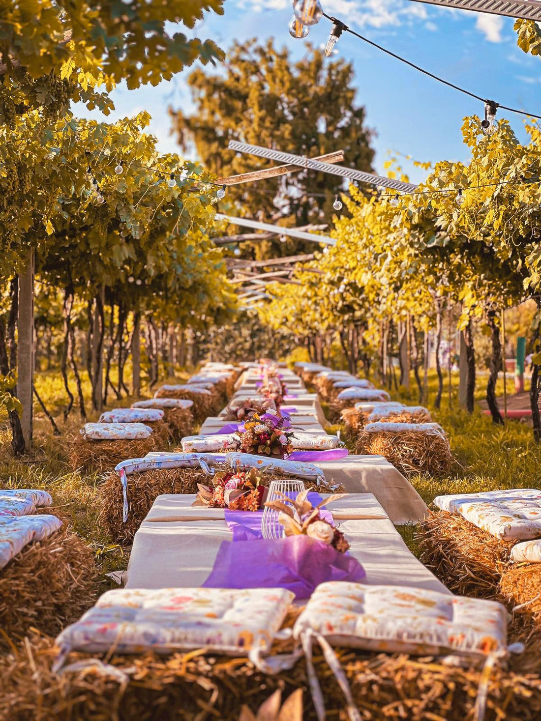 Az. Agricola Gianluca Fugolo - Degustazione "Viaggio in Valpolicella" Veneto Az. Agricola Gianluca Fugolo