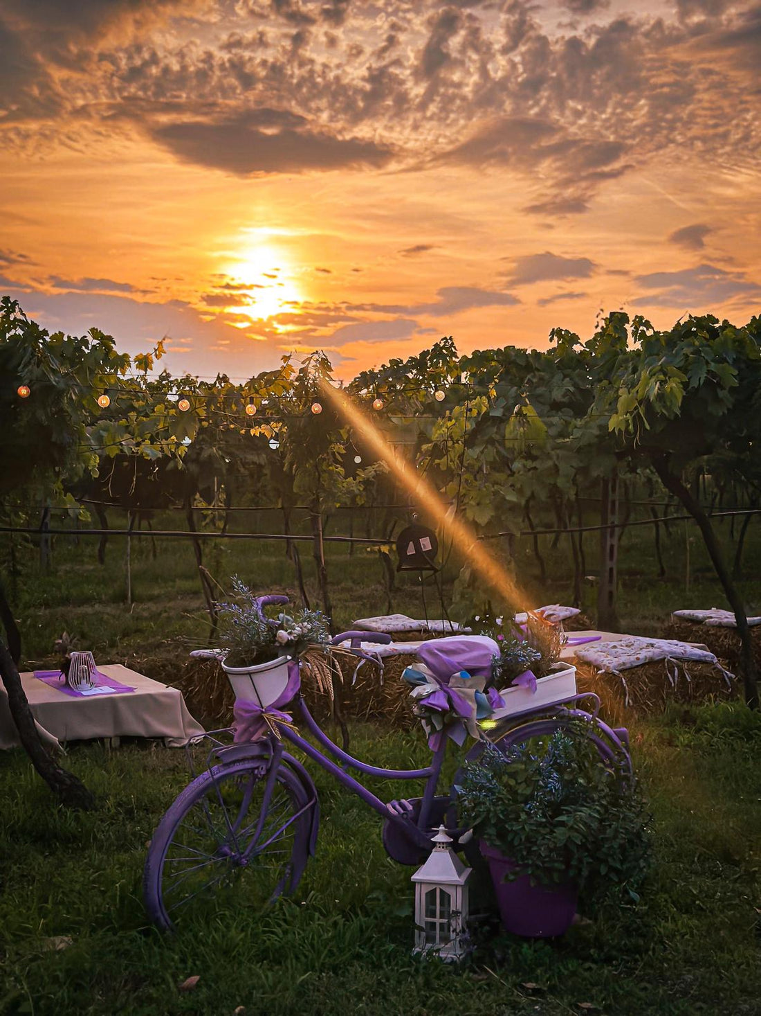 Az. Agricola Gianluca Fugolo - Degustazione "Viaggio in Valpolicella" Veneto Az. Agricola Gianluca Fugolo