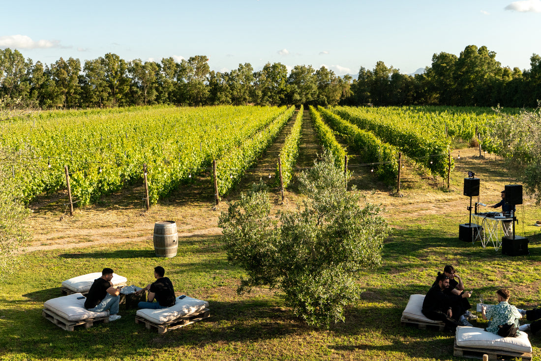 Quartomoro - ESSENZA Sardegna Quartomoro