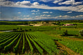 Fassati Winery - Classic