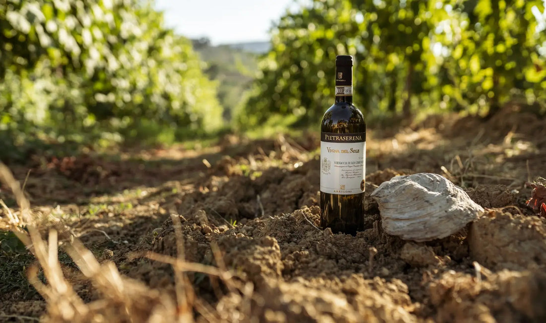 Arrigoni Arrigoni 1913 - Full Immersion in Pietraserena – Wineries Experience