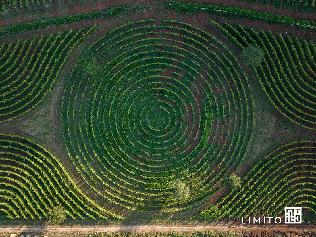 Marco carpineti - Meeting aziendali & Team Building Lazio Marco Carpineti