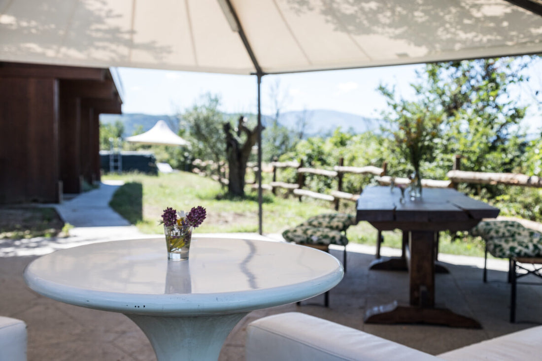 Il Vino e Le Rose - Degustazione + soggiorno Piemonte Il Vino e Le Rose