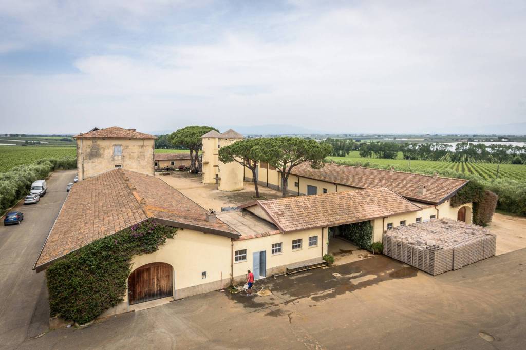 Casale del Giglio - Degustazione vino Classica Lazio Casale del Giglio