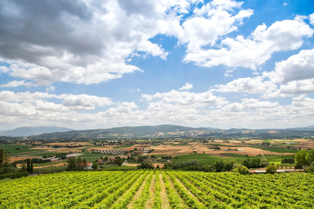 Chiorri - Soggiorno e Degustazione Umbria Chiorri