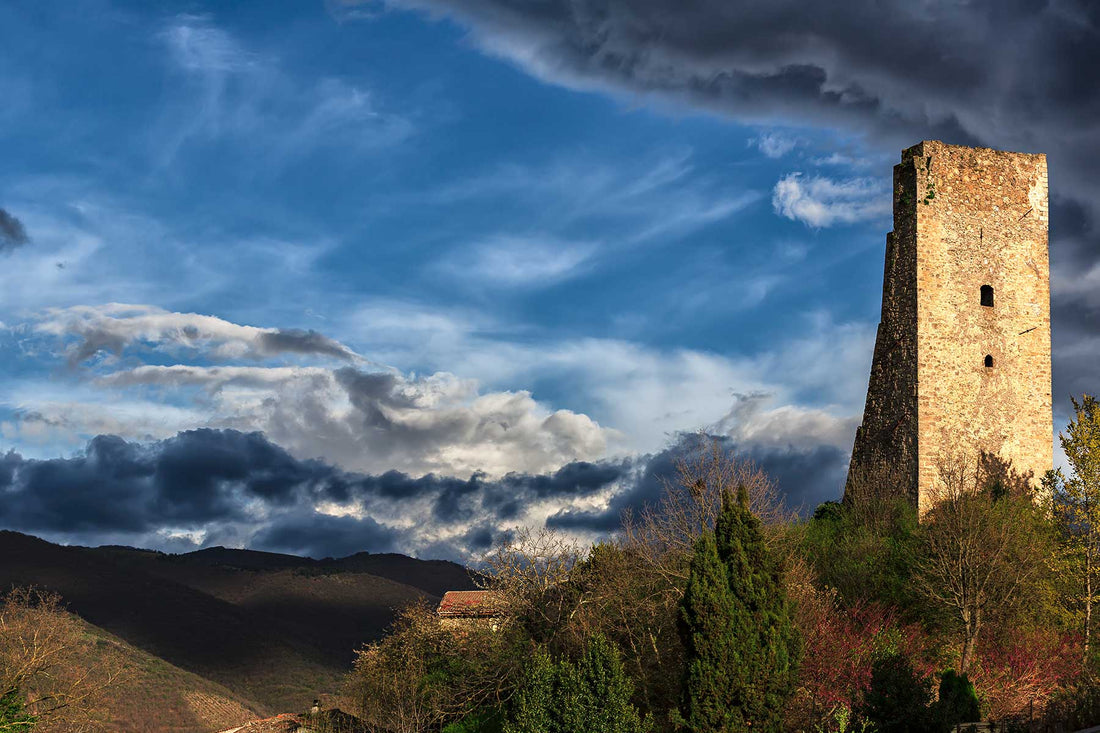 Cantina Le Macchie - Wine Lovers Lazio Cantina Le Macchie