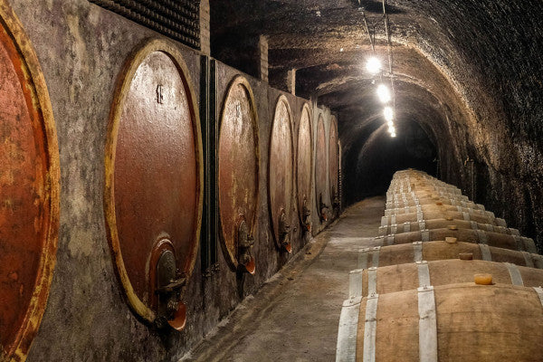 Cantina Leonardi - E-Bike TOUR Lazio Cantina Leonardi