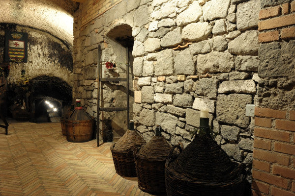 Cantina Leonardi - E-Bike TOUR Lazio Cantina Leonardi