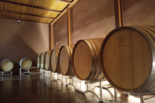 Terre de Pepi - Esperienza di Imbottigliamento Toscana Terre de Pepi