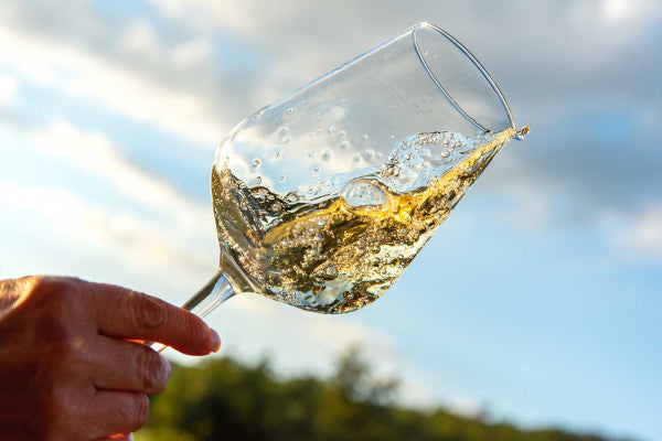 Terre de Pepi - Esperienza di Imbottigliamento Toscana Terre de Pepi