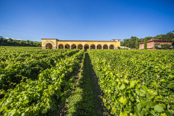 Az.Agr. Montetondo - Soggiorno & Degustazione Veneto Az.Agr. Montetondo