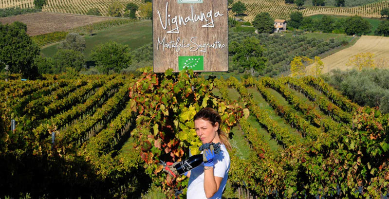 Moretti Omero - Pic Nic Umbria Moretti Omero