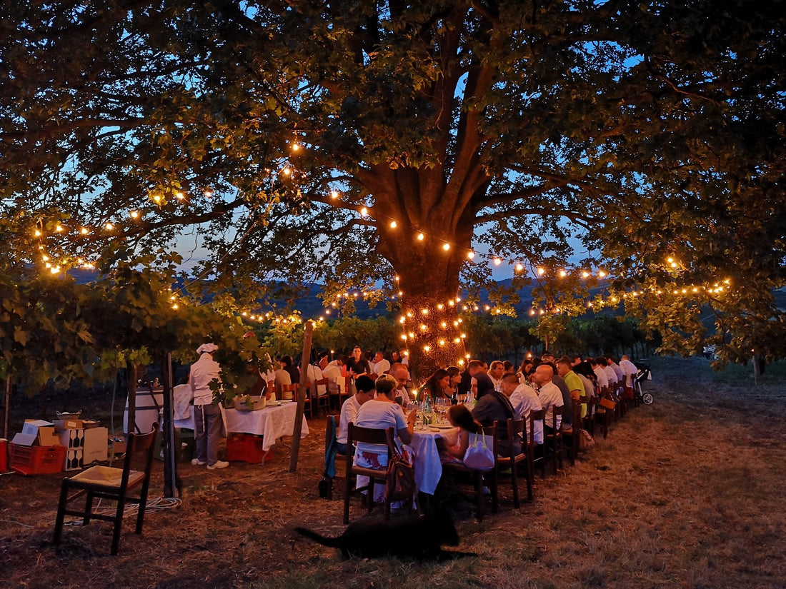 Calatroni wines - Degustazione 4 vini Lombardia Calatroni wines