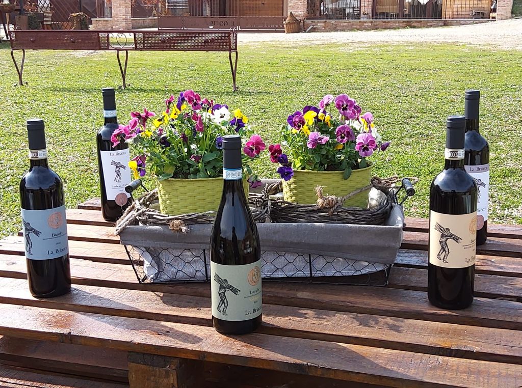 La Briacca - Degustazione 4 vini "Max" Piemonte La Briacca